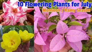 10 Flowering Plants for July month/ Rainy Season, जुलाई में लगाएं यह 10 फूलों वाले पौधे