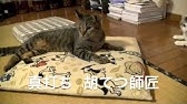 くるねこ