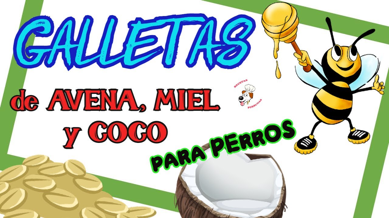 COMO Hacer GALLETAS para PERROS SALUDABLES 😍💚🍪 YouTube