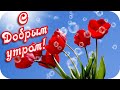 С Добрым утром!  🌸Симфония тюльпанов...🌸Весенний видеоролик🌸Good morning!🌸