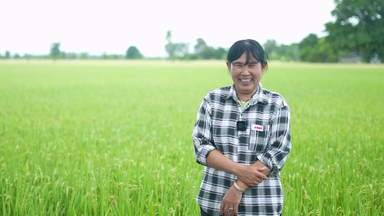 ใช้แบคเพลน™แล้วข้าวใบเกลี้ยงสวยใสเขียวสุขภาพดี