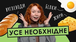 картинка: ОРГАНІЧНІ РЕЧОВИНИ: БІЛКИ, ВУГЛЕВОДИ, ЛІПІДИ | Біологія НМТ 2024 | ЗНОБІК
