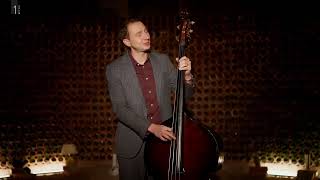 KAJ DOGAJA - (S)HIT TEDNA - MARTINOVO