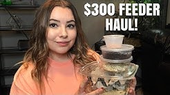 $300 FEEDER HAUL! | Feeder Unboxing
