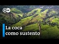 Colombia: siguen los cultivos de coca