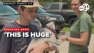 Charleston Animal Society takes over neighboring agency, seeking to help animals