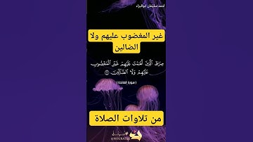 غير المغضوب عليهم #احمد_سليمان_ابوالبراء #راحة_نفسية #تلاوة #دويتو  #حالات_واتس #اكسبلور #explore