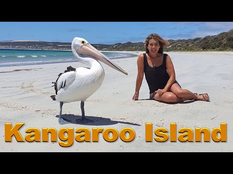 Vídeo: Descrição e fotos do Paraná - Austrália: Ilha Kangaroo