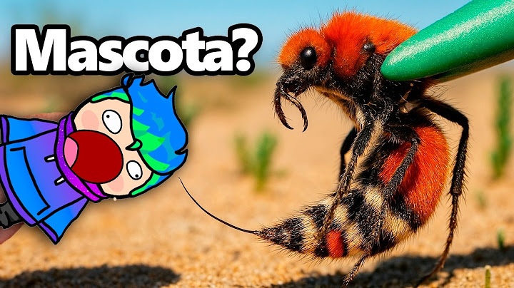 Conseguí una Mata Vacas Como Mascota (picadura más dolorosa) / Carlos Infinito REACCIONA TerraVerde