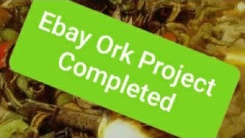 Ebay Ork Project Completed