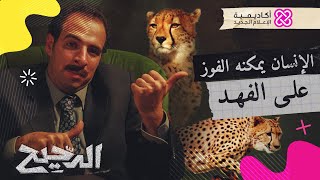 الدحيح | الإنسان يمكنه الفوز على الفهد