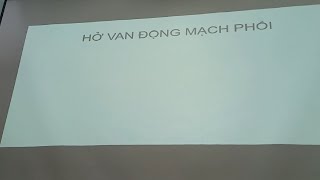 |2022| Hở van động mạch phổi