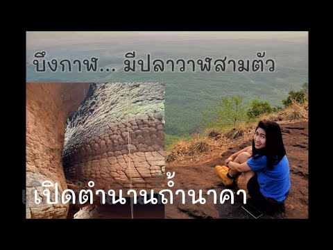 เที่ยวบึงกาฬกัน ตำนานพญานาคถ้ำนาคา I เที่ยวปันสุข I หินสามวาฬ