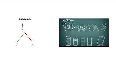 Pairwise sequence alignment - Concepts