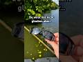 Wer sieht den fortnite vergleich ? #FishingLife#CatchOfTheDay#FishingVibes#Angeln#OutdoorAdventure