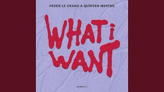 What I Want - Fedde Le Grand & Quînten Mertns