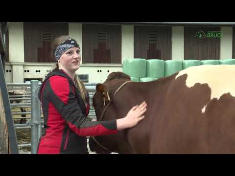 Die Ausbildung an der Landwirtschaftliche Fachschule Bruck 2018