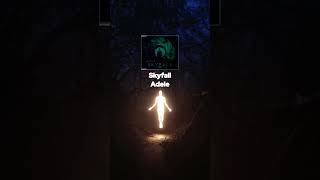 Skyfall by Adele #music #song