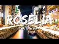 Roselia - Talk to My Tone (Lyrics)