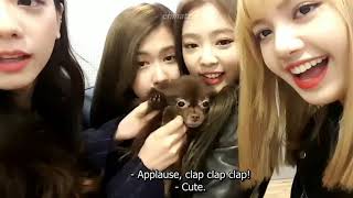 Blackpink Still A Mess Ft. Kuma