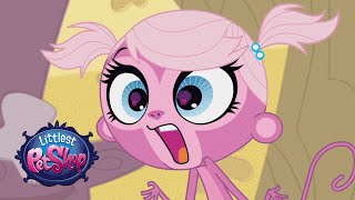 Video thumbnail of "Littlest Pet Shop - ‘OmmmMG’ Original Short"