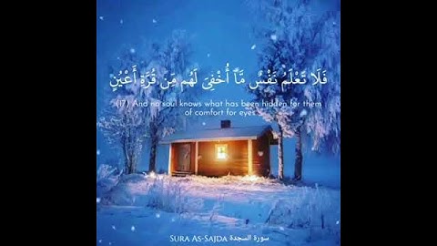 حالات واتس اب دينية🎥😍 | القارئ اسلام صبحي || مقطع في قمة الروعة❤️🌸
