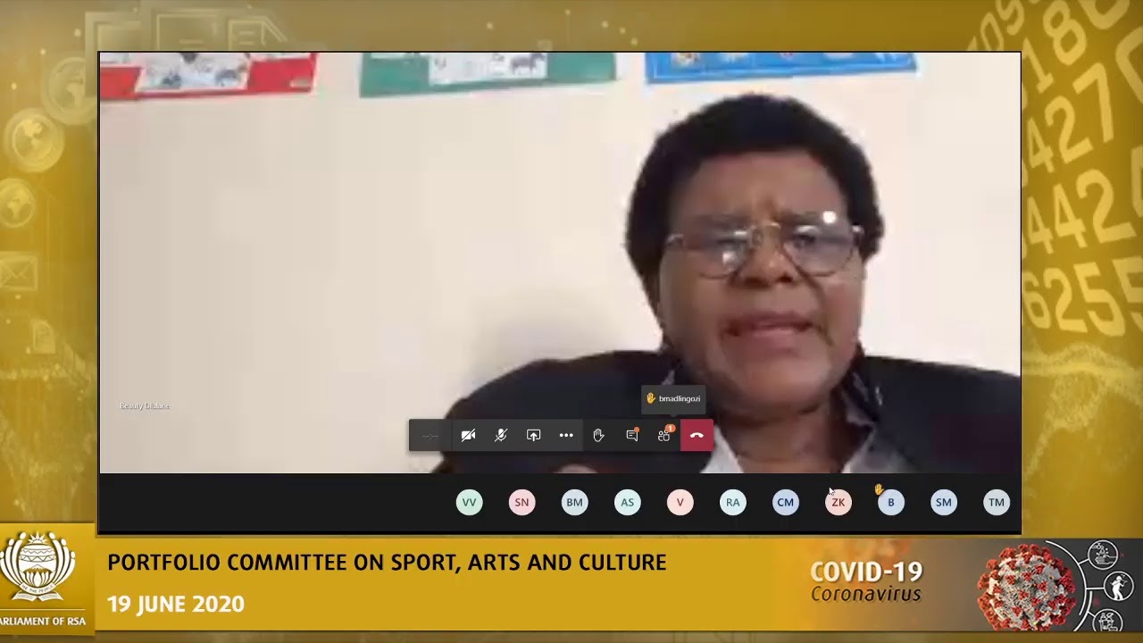 Portfolio Committee on Sport, Arts and Culture, 19 June 2020 YouTube