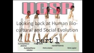 SHS UCSP: Lesson 3 Looking back at Human biocultural and social evolution part 1