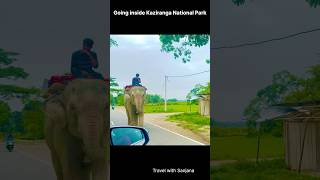 Kaziranga Jungle ke Beech Se Guzarna Kaisa Laga? | Assam Highway Drive Experience #reels #shorts