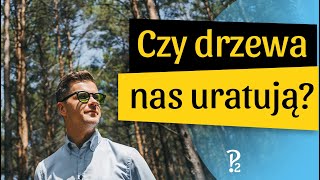 Czy sadzenie drzew uratuje nas od katastrofy ekologicznej?