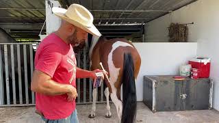 Como preparar unas bolilleras caseras, y el uso en los caballos de paseo...