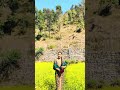 फुलै फुलको बगैचामा❤️🌿#shortvideo #love #sunariimagar❤️