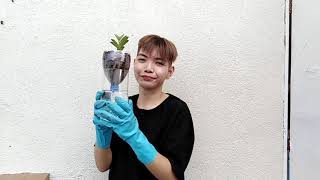 Ecosystem in a Bottle (Performance Task) by Denzel Abarca