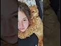 The dog loves its owner forever 🥹❤️#pets #dog #human #truelove #pet #peaceandlove