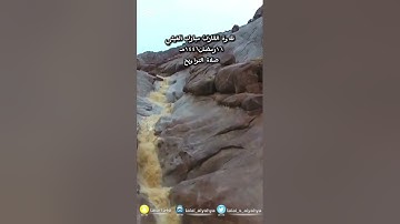 صلاة التراويح ١٦رمضان١٤٤٦هـ للقارئ مبارك الغيثي