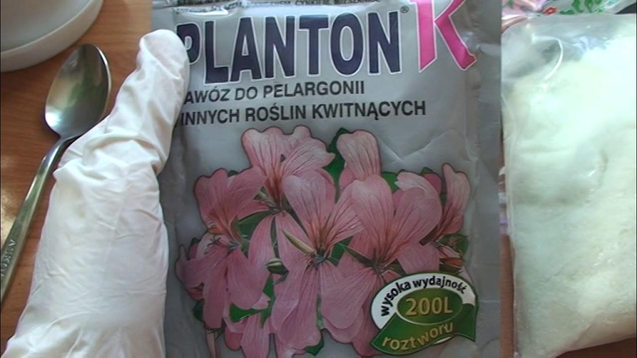 Удобрение для пеларгоний. Минеральное удобрение "Planton" - YouTube