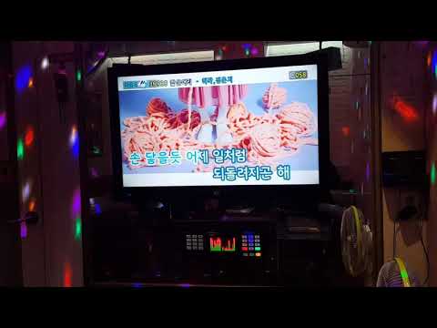 4번방 꿈노래연습장 2019년11월9일토요일