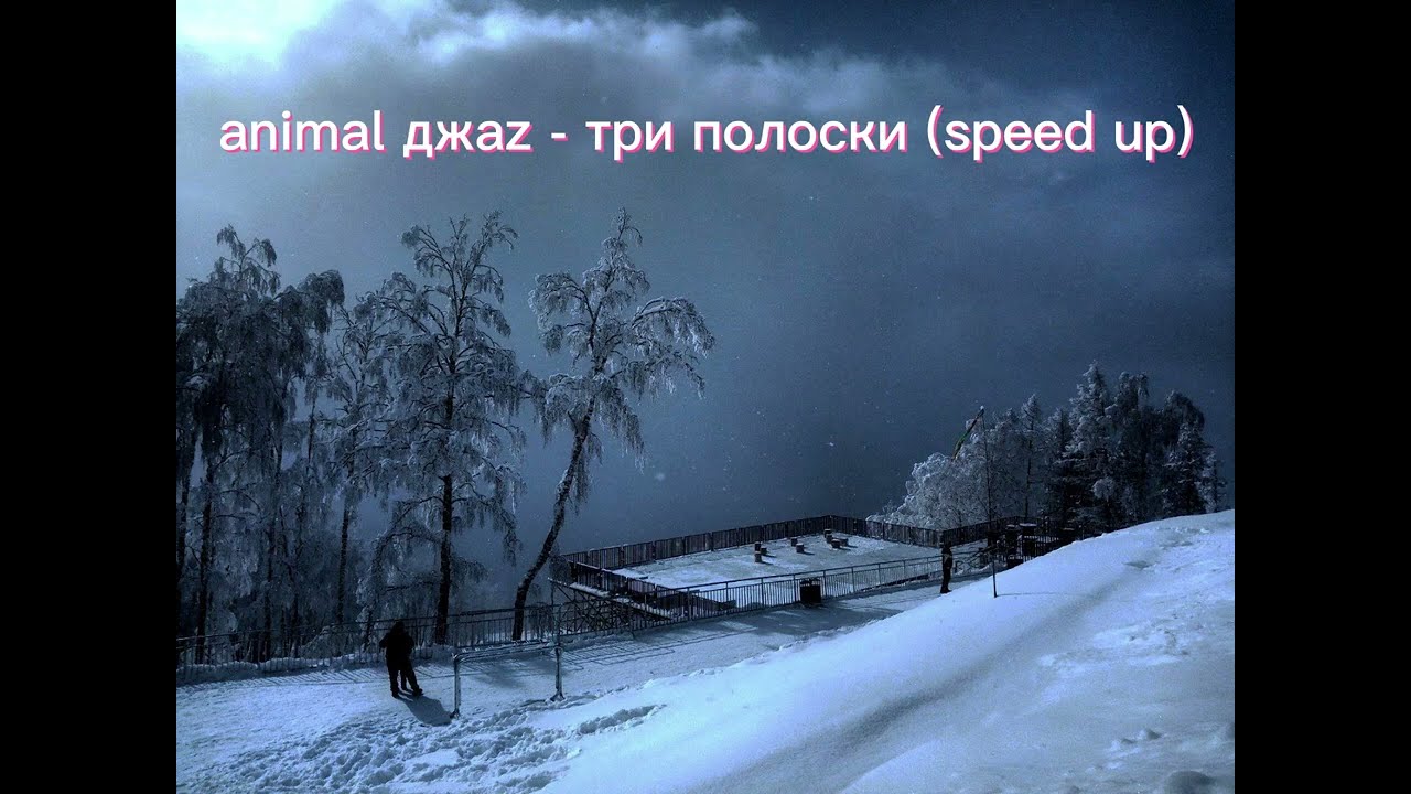 animal джаz - три полоски (speed up)