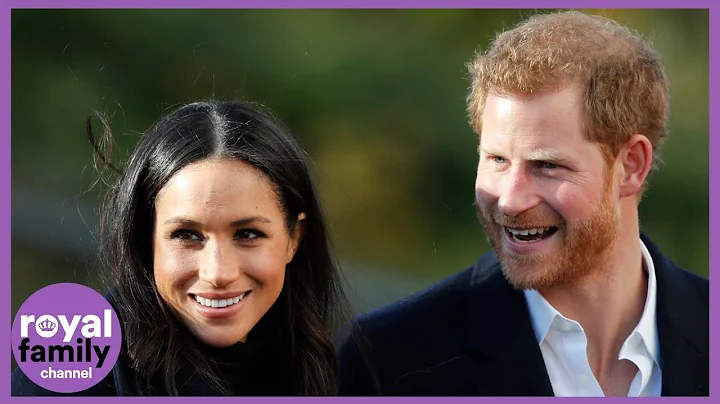 Harry and Meghan Give Up Royal Titles: Their New Roles Explained - DayDayNews