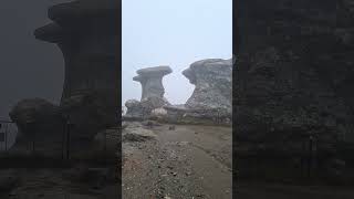 Cine poate explica cum s-au format Babele?