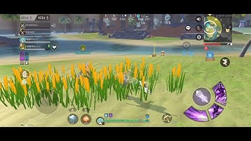 Cheater on Eclipse Isle | One Hit 🎯