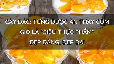 CÂY ĐÁC: TỪNG ĐƯỢC ĂN THAY CƠM – GIỜ LÀ “SIÊU THỰC PHẨM” ĐẸP DÁNG, ĐẸP DA!