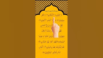 Surah At-Teen | سورة التين | Everyday Quran Tilawat #surahattin #fingertracking #islamicprayer #fyp