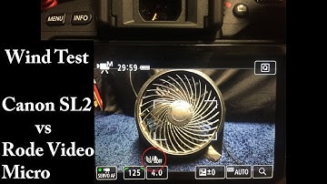 Wind Comparison: Canon SL2 200d Audio vs Rode VideoMicro