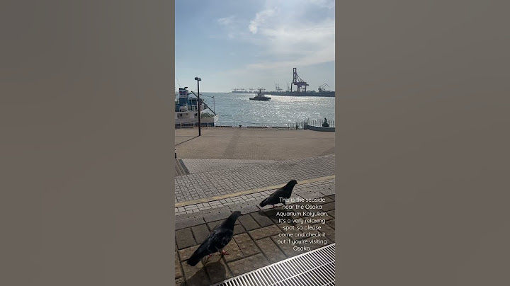 This is the seaside near the Osaka Aquarium Kaiyukan. #shorts #osaka