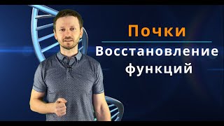 Почки - Восстановление функций с продукцией компании Новая Эра