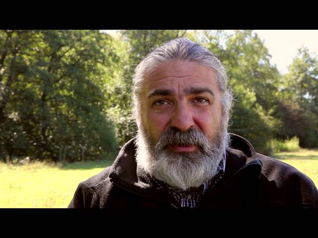 Enciclopedia Plantelor - Vâscul