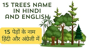 15 Trees Name in English and Hindi | Trees Name | Trees Name in English | पेड़ों के नाम