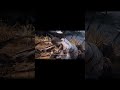 God of War Epic Fight Scene | The Rage of Kratos #godofwar #epicfight #cinematicbattles #pcgaming
