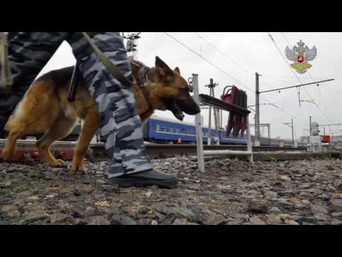 Видеоролик для ФГУП «Охрана железнодорожного транспорта России»